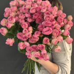 Роза кустовая Жизель
