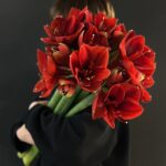Аммарилисы