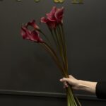 Каллы