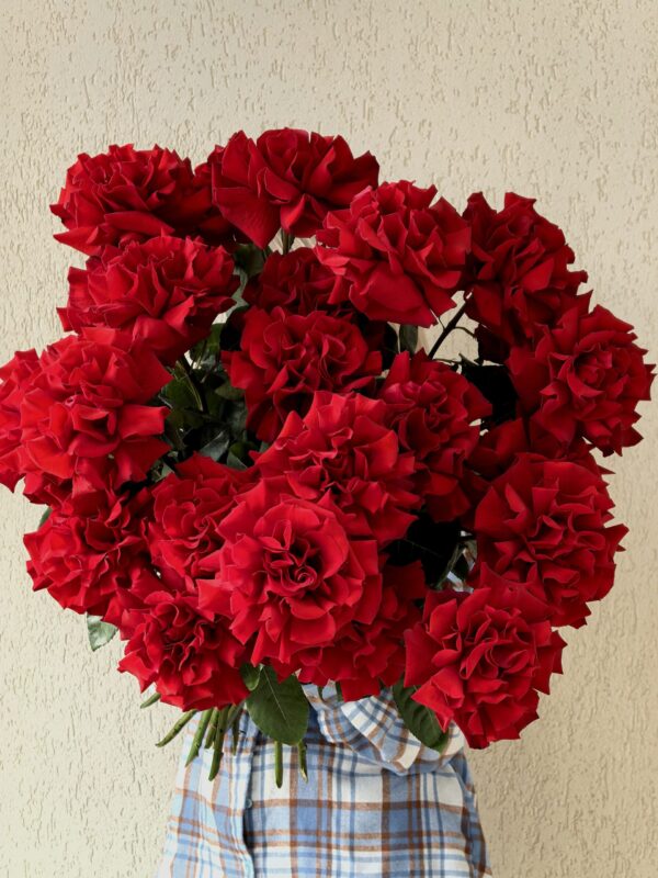 Роза Французская