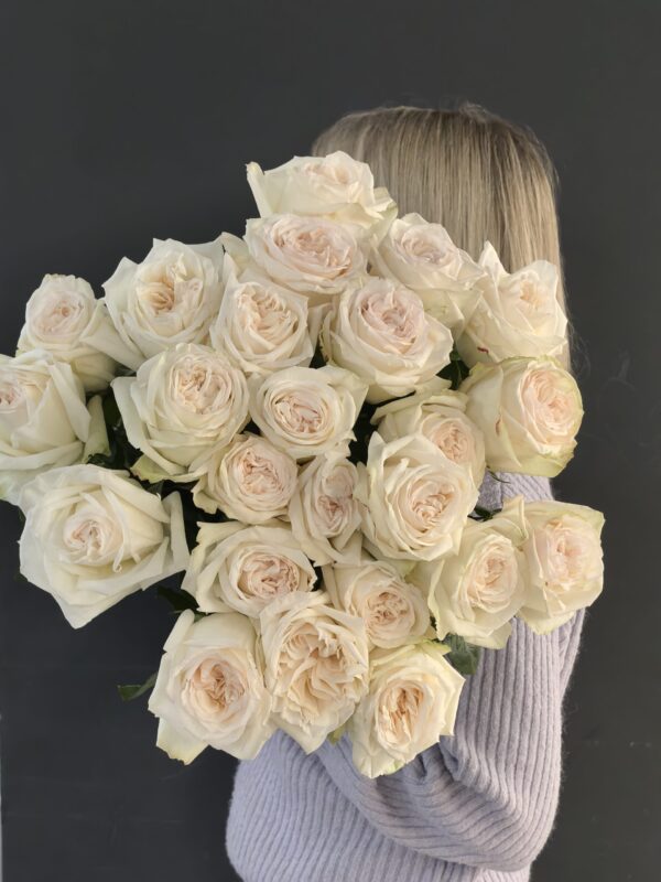 Роза "Вайт Охара"